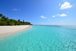 Palm Beach Resort & Spa